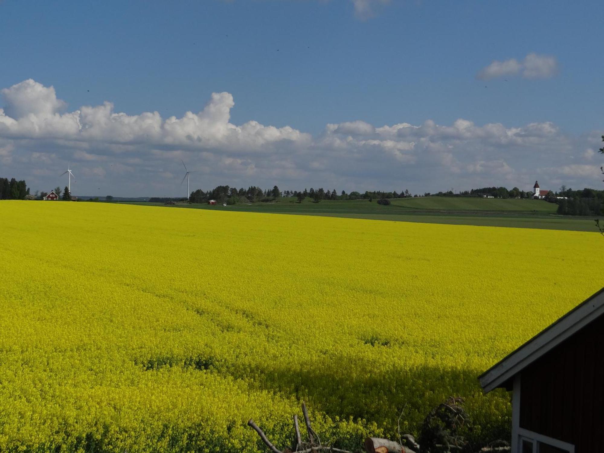 Pilgarden Fornasa, Draengstugan Exteriér fotografie